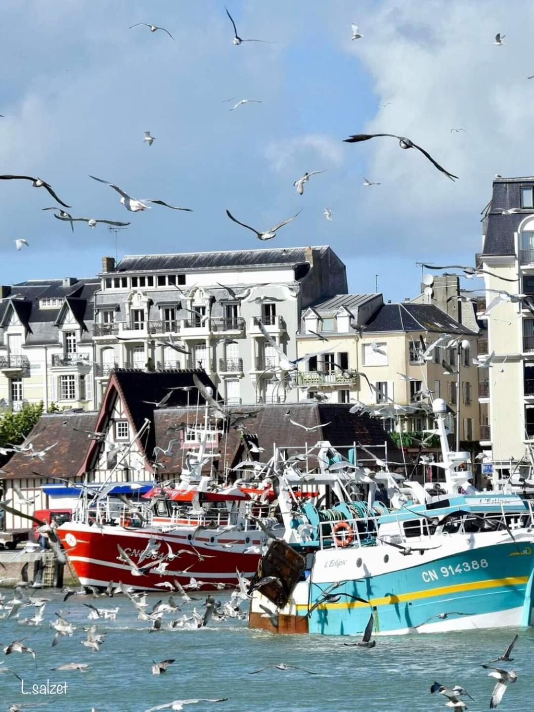 Studio De Charme A Trouville Sur Mer. Εξωτερικό φωτογραφία